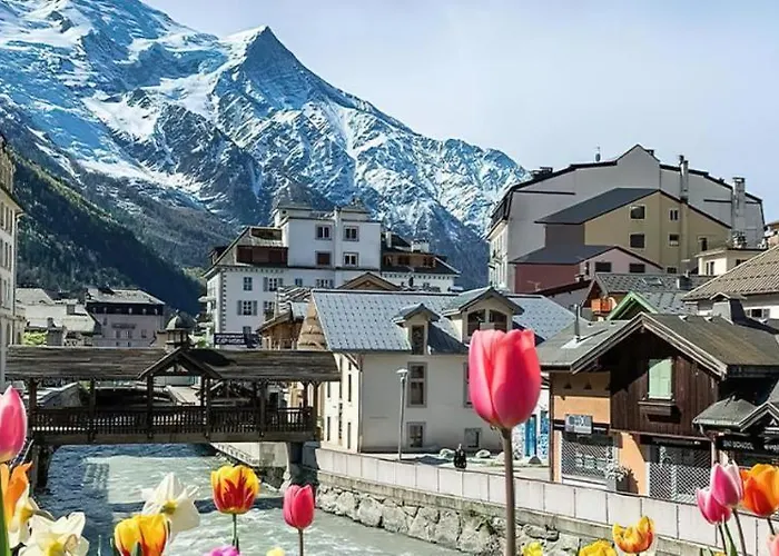 Apartmanhotel Le Domaine Du Jardin Alpin - 1850